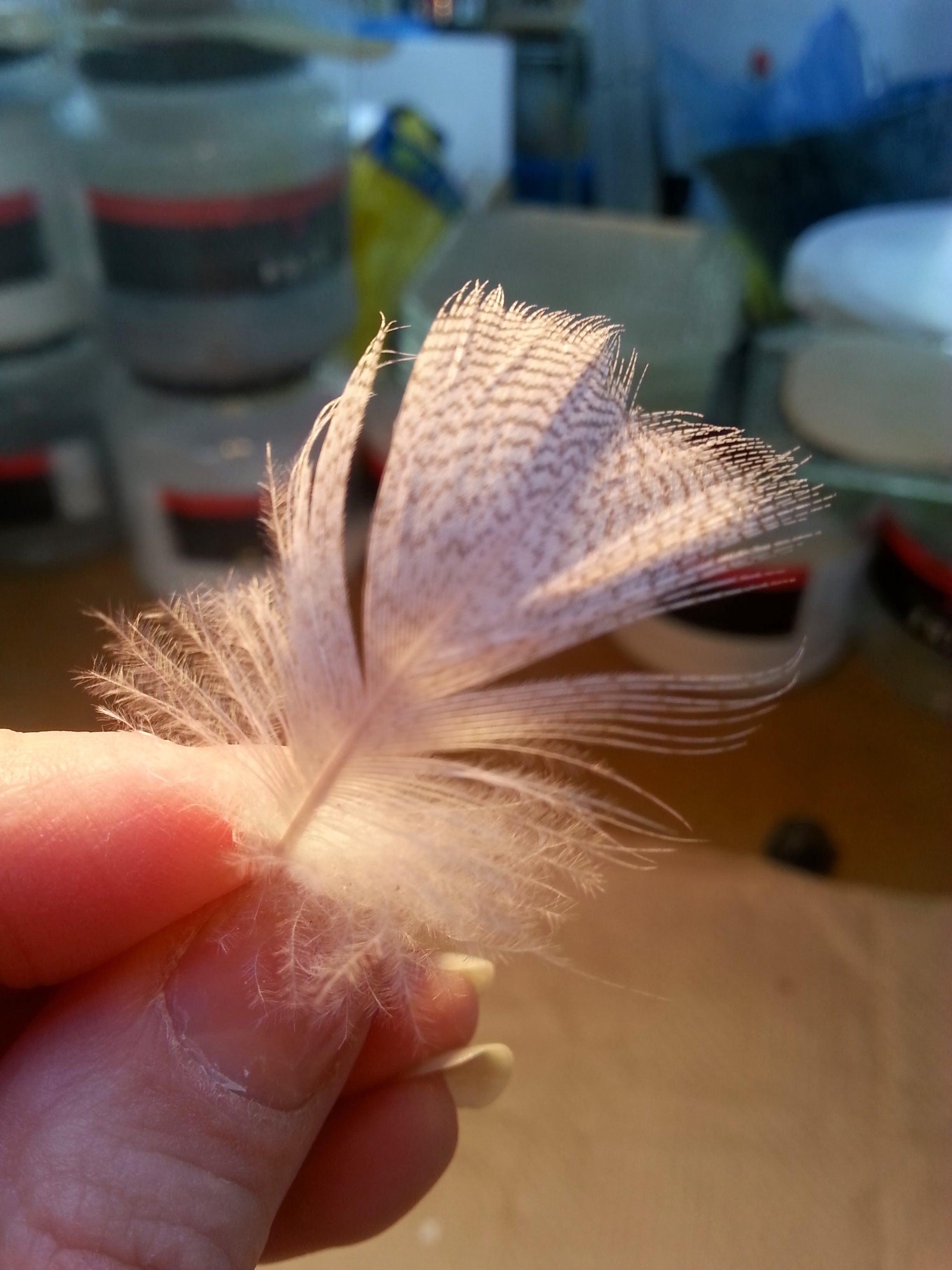 Of the Earth: Contemporary Ceramics and Glass from The Fitzwilliam Museum