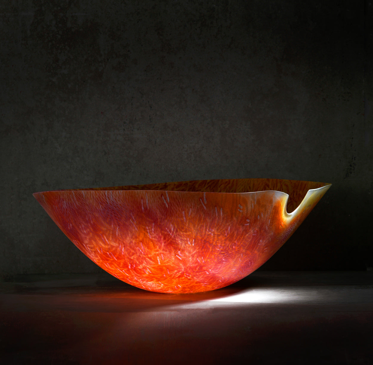 Of the Earth Blog by Dr Prerona Prasad