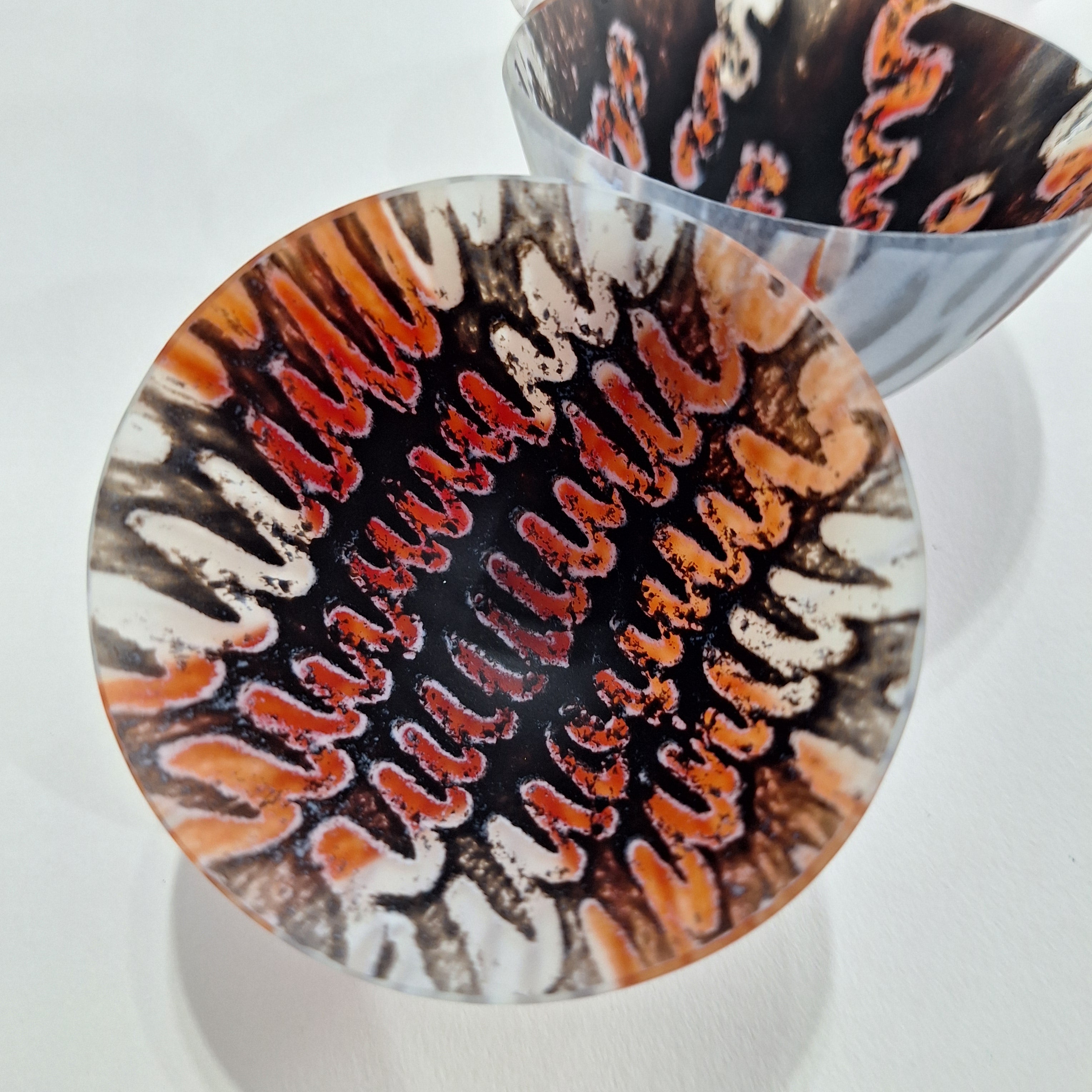 Particle Small Duo Set