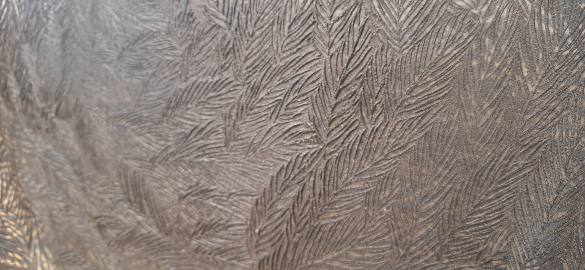 Vital Fibres