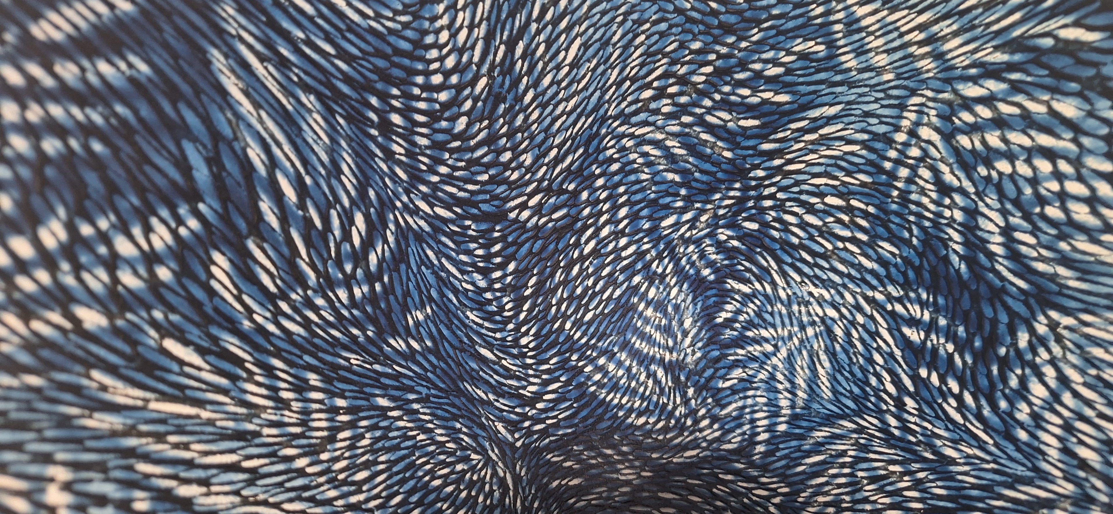 Crow & the Ice Cream