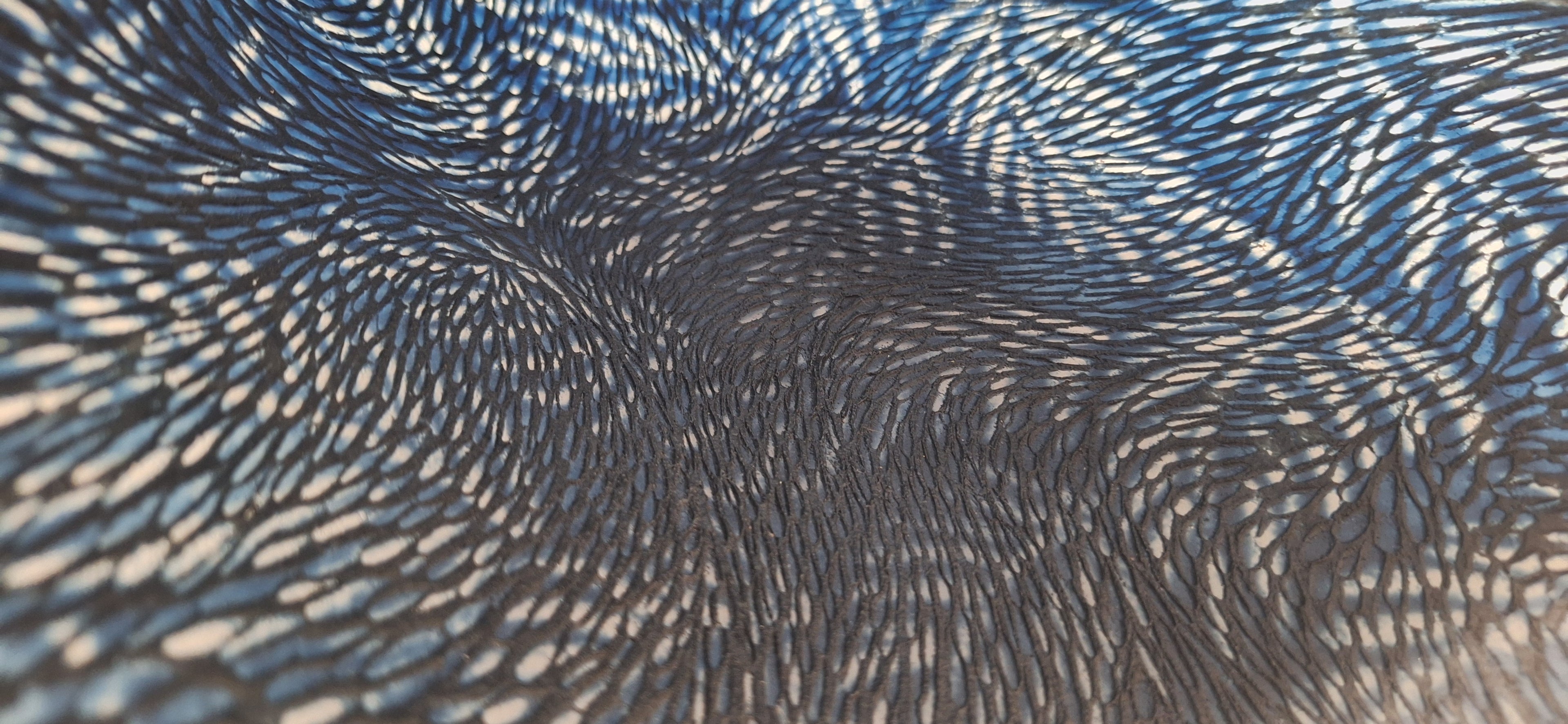 Crow & the Ice Cream