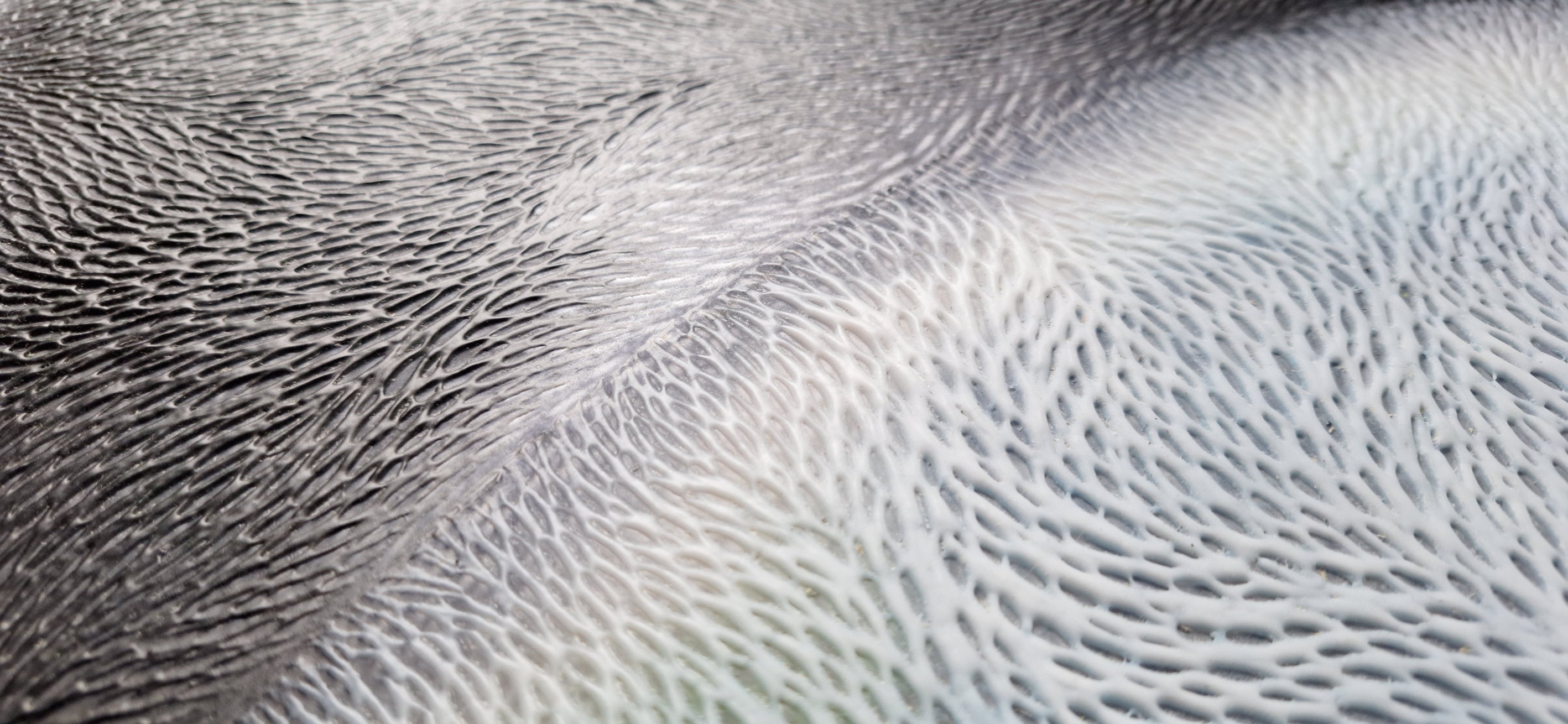 Chasing everything in endless song (2024)