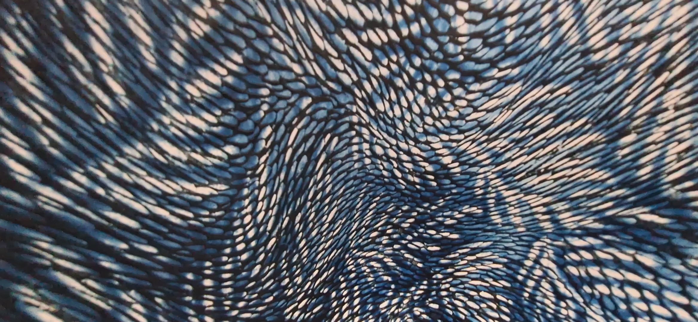 Crow & the Ice Cream